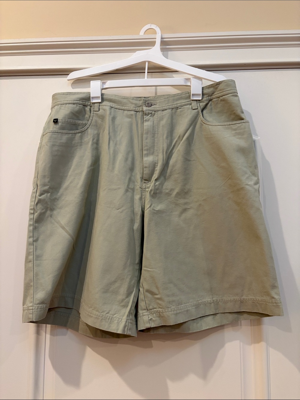Men's Casual Flat Front Shorts in Sage Green